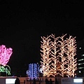 札幌-大通公園[白色燈節]