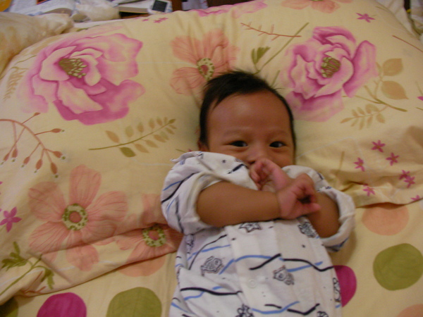 SANY0008.JPG