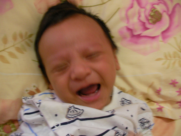 SANY0011.JPG
