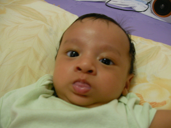 SANY0003.JPG