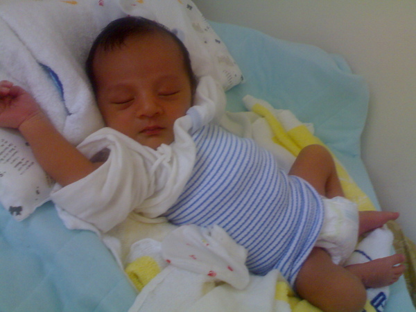 20090421330.jpg