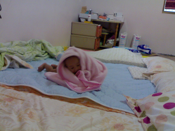 20090826481.jpg