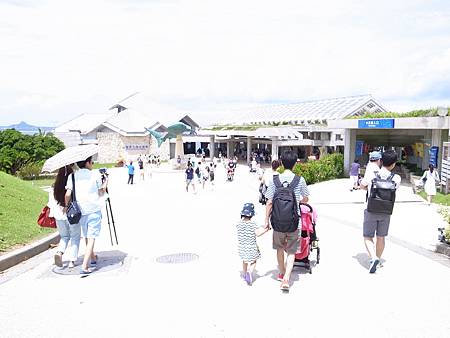 R1033607.JPG R1033607.JPG