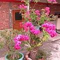 IMG_1228.jpg