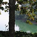 IMG_1257.jpg