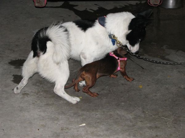 IMG_0140.jpg