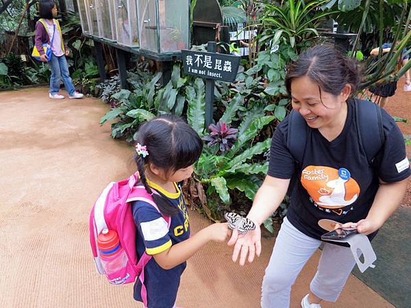 台北市績優寄養家庭表揚暨感恩茶會表揚96戶寄養家庭，其中有7戶服務超過10年以上（台灣世界展望會提供）