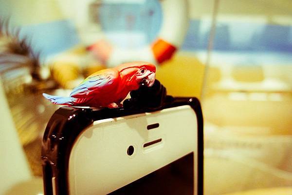 256842_488784434466622_1605213711_o