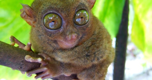 a0cb6d5216d09f9e3448d6f5ffbffc4c a0cb6d5216d09f9e3448d6f5ffbffc4c