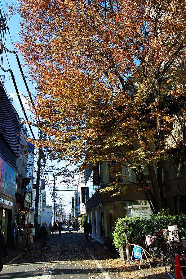 武藏野 吉祥寺 關東最宜居市鎮悠閒好逛的商店街 樂活x美學 痞客邦