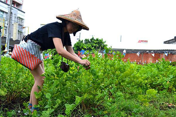彰化旅遊 花現幸福小旅行茉莉花壇夢想館 花樹銀行 順達磚窯廠茉莉花田採花體驗 欣傳媒 彰化旅遊 花現幸福小旅行茉莉花壇夢想館 花樹銀行 順達磚窯廠茉莉花田採花體驗 欣傳媒