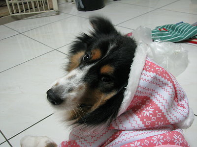 IMG_1067 IMG_1067