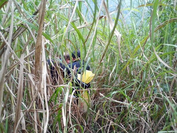 4運裝備通過河床高草