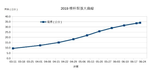 標杆梨漲大曲線圖.jpg