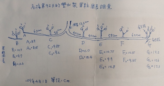 果粒位置及調查數據.jpg