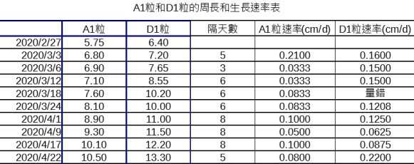 0422果粒生長表.jpg