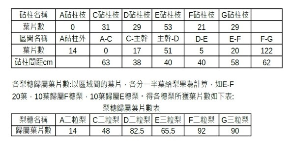 梨穗歸屬葉片數表.jpg