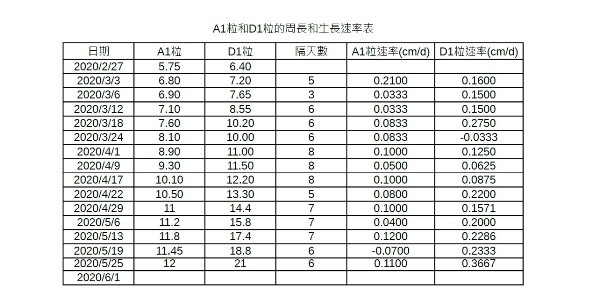 A1D1成長表0525P.jpg