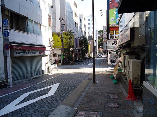 DSC06178 (复制).JPG