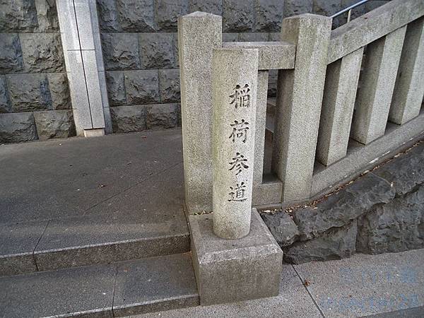 DSC06198 (复制).JPG