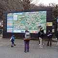 DSC06782 (复制).JPG