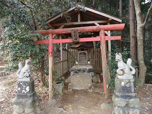DSC06814 (复制).JPG