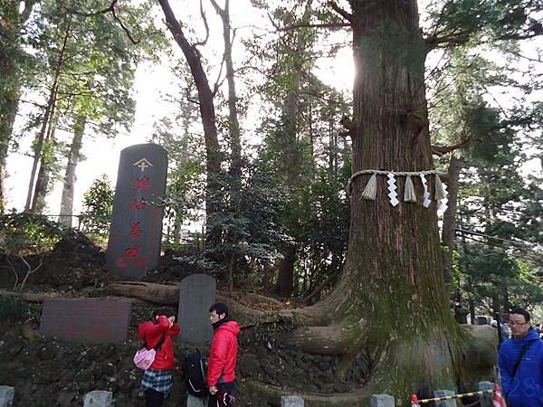 DSC06958 (复制).JPG