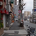 DSC07109 (复制).JPG