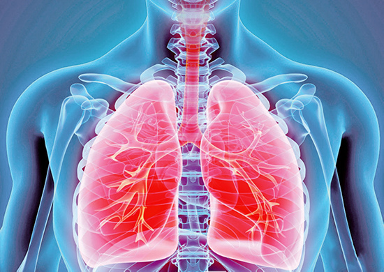 利九星 解酒 解宿醉 拼酒神器 應酬 護肝 肝硬化 脂肪肝 台北酒吧 台中酒吧 台北夜店 台中夜店 錢櫃 好樂迪 Singgo