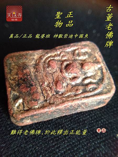 真品正品龍婆班神獸崇迪單尾雞難得泰國老佛牌於此釋出