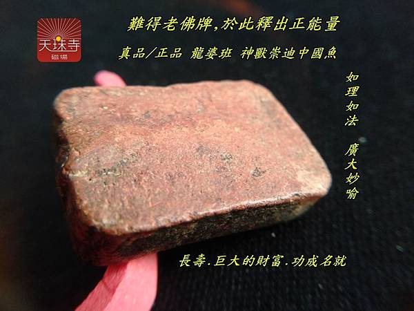 真品正品龍婆班神獸崇迪單尾雞難得泰國老佛牌於此釋出