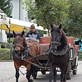 天鵝堡馬車