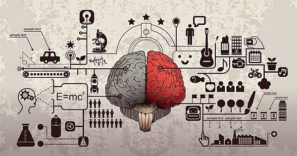 brain_shutterstock_116450380.jpg brain_shutterstock_116450380.jpg