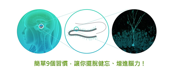 老是忘東忘西?英國神經學專家教你擺脫健忘、增進腦力.jpg.png 老是忘東忘西?英國神經學專家教你擺脫健忘、增進腦力.jpg.png
