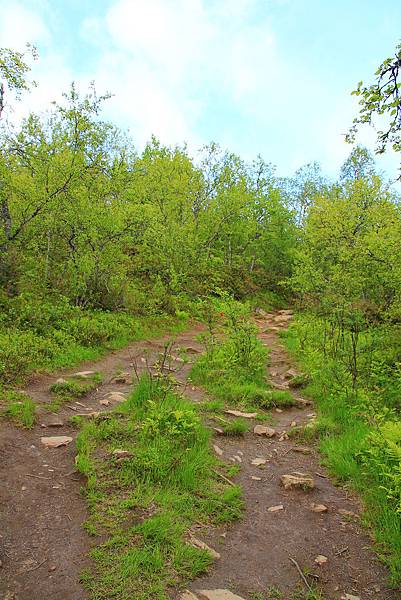 Gangsåstoppen步道.JPG