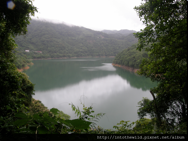 圖片B13_永安景觀步道林間空隙之湖面