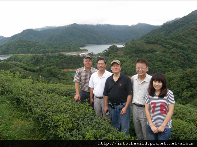 圖片B22_於「八卦茶園」中合影，證明來過囉!