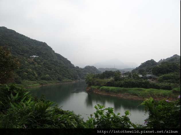 圖片06_灣潭路起點的北勢溪對岸風光