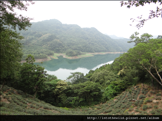 圖片20_北勢溪湖面風光