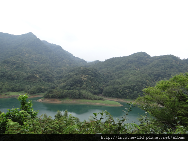 圖片33_溪流匯入河階地形