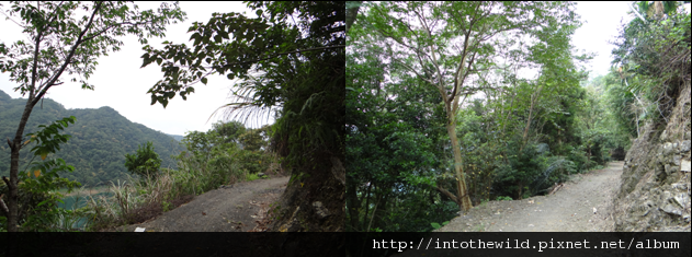 圖片34_產業道路沿北勢溪繞行