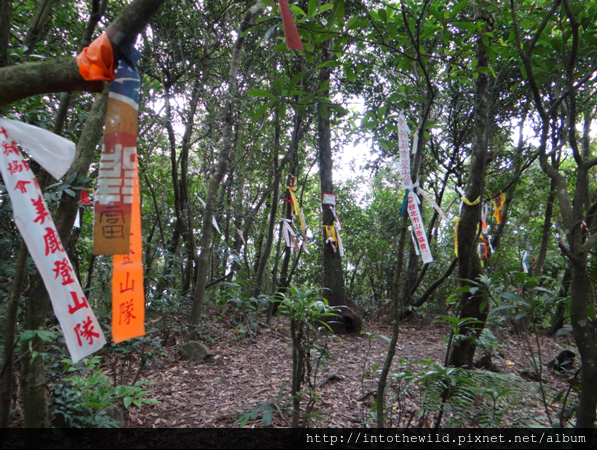 圖片11_小格頭獅頭山，高477公尺