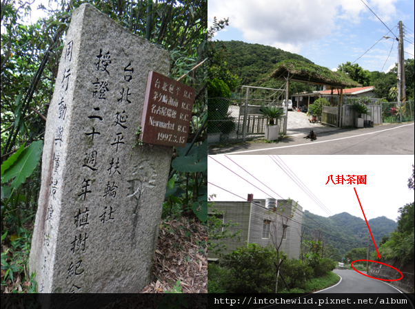 圖片60_八卦茶園叉路口的擋土牆漆「八卦茶園」