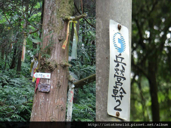 圖片72_十三股山的登山口