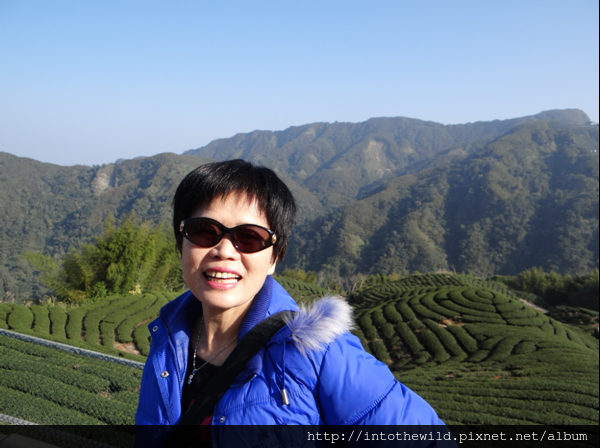 圖片207_雍富茶園的觀景平台是拍斗笠狀八卦茶園最好的地方