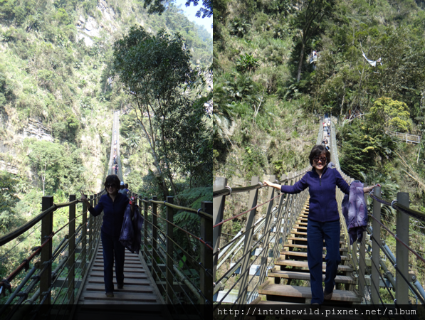圖片232_王小姐攝於竹山天梯上