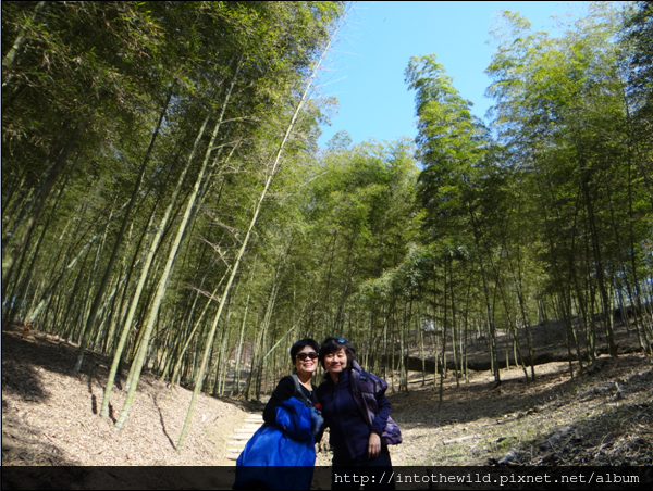 圖片224_王小姐與 Tina於竹林步道留影