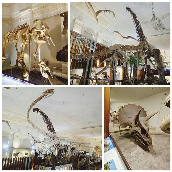 土銀展示館1.jpg 土銀展示館1.jpg