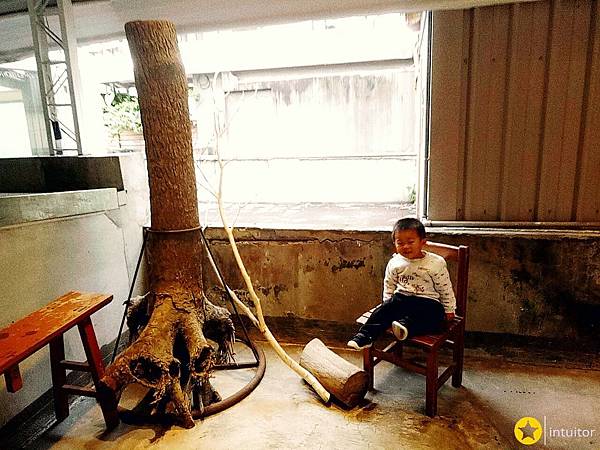 樹火紀念紙博物館5.jpg 樹火紀念紙博物館5.jpg