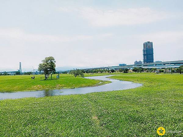 大台北都會公園幸福水漾公園29.jpg